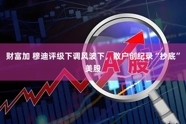 财富加 穆迪评级下调风波下，散户创纪录“抄底”美股
