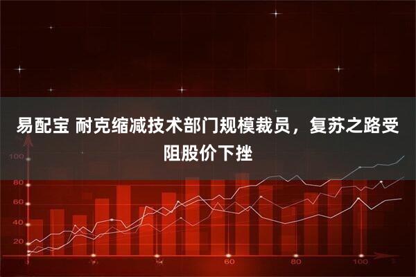 易配宝 耐克缩减技术部门规模裁员，复苏之路受阻股价下挫