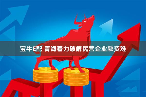 宝牛E配 青海着力破解民营企业融资难