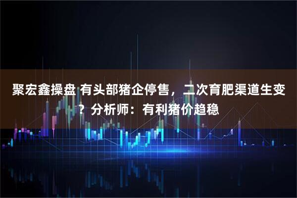 聚宏鑫操盘 有头部猪企停售，二次育肥渠道生变？分析师：有利猪价趋稳