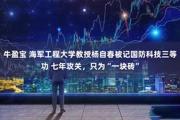 牛盈宝 海军工程大学教授杨自春被记国防科技三等功 七年攻关，只为“一块砖”