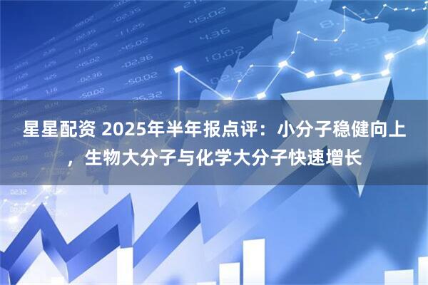 星星配资 2025年半年报点评：小分子稳健向上，生物大分子与化学大分子快速增长