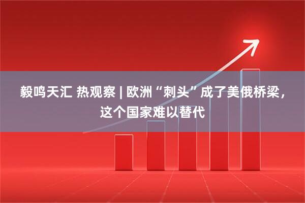 毅鸣天汇 热观察 | 欧洲“刺头”成了美俄桥梁，这个国家难以替代