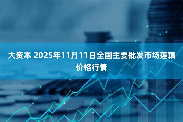 大资本 2025年11月11日全国主要批发市场莲藕价格行情