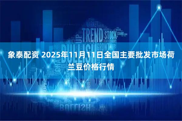 象泰配资 2025年11月11日全国主要批发市场荷兰豆价格行情