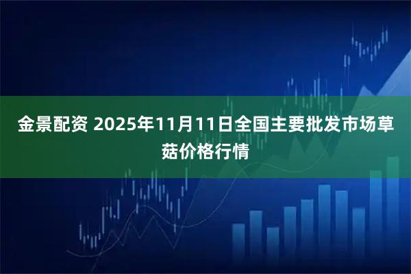 金景配资 2025年11月11日全国主要批发市场草菇价格行情