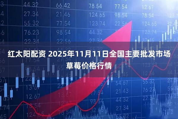 红太阳配资 2025年11月11日全国主要批发市场草莓价格行情