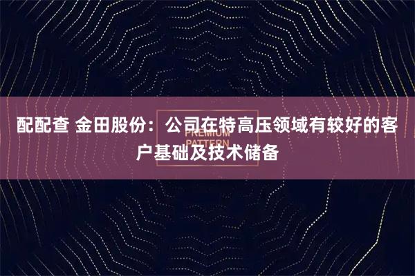 配配查 金田股份：公司在特高压领域有较好的客户基础及技术储备